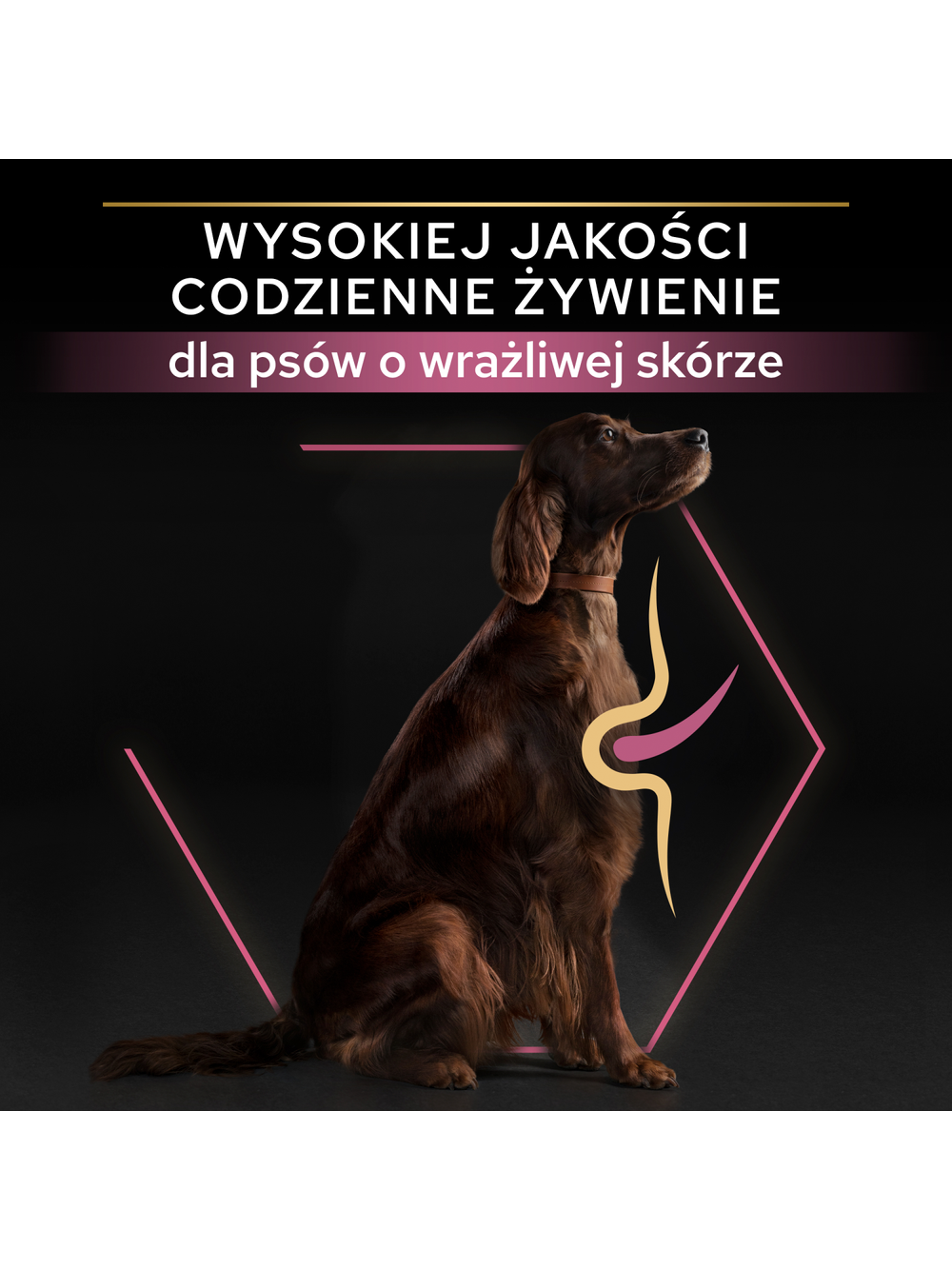 PRO PLAN Sensitive Skin Large Athletic Adult Karma dla psów bogata w łososia 14kg / Opakowanie uszkodzone (6148,7389,8752,9370,9516)!!