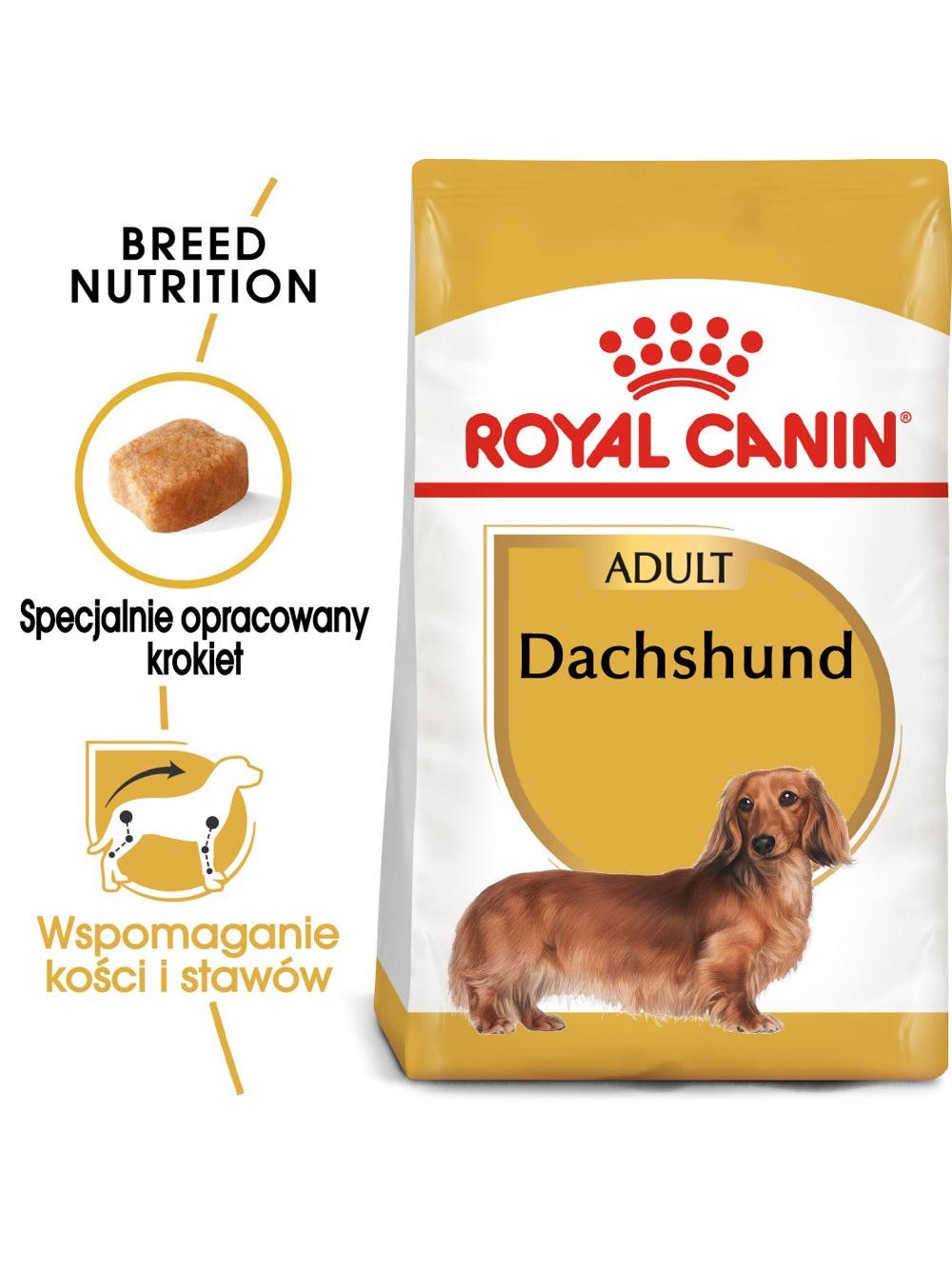 ROYAL CANIN Dachshund karma sucha dla psów dorosłych rasy jamnik  500g
