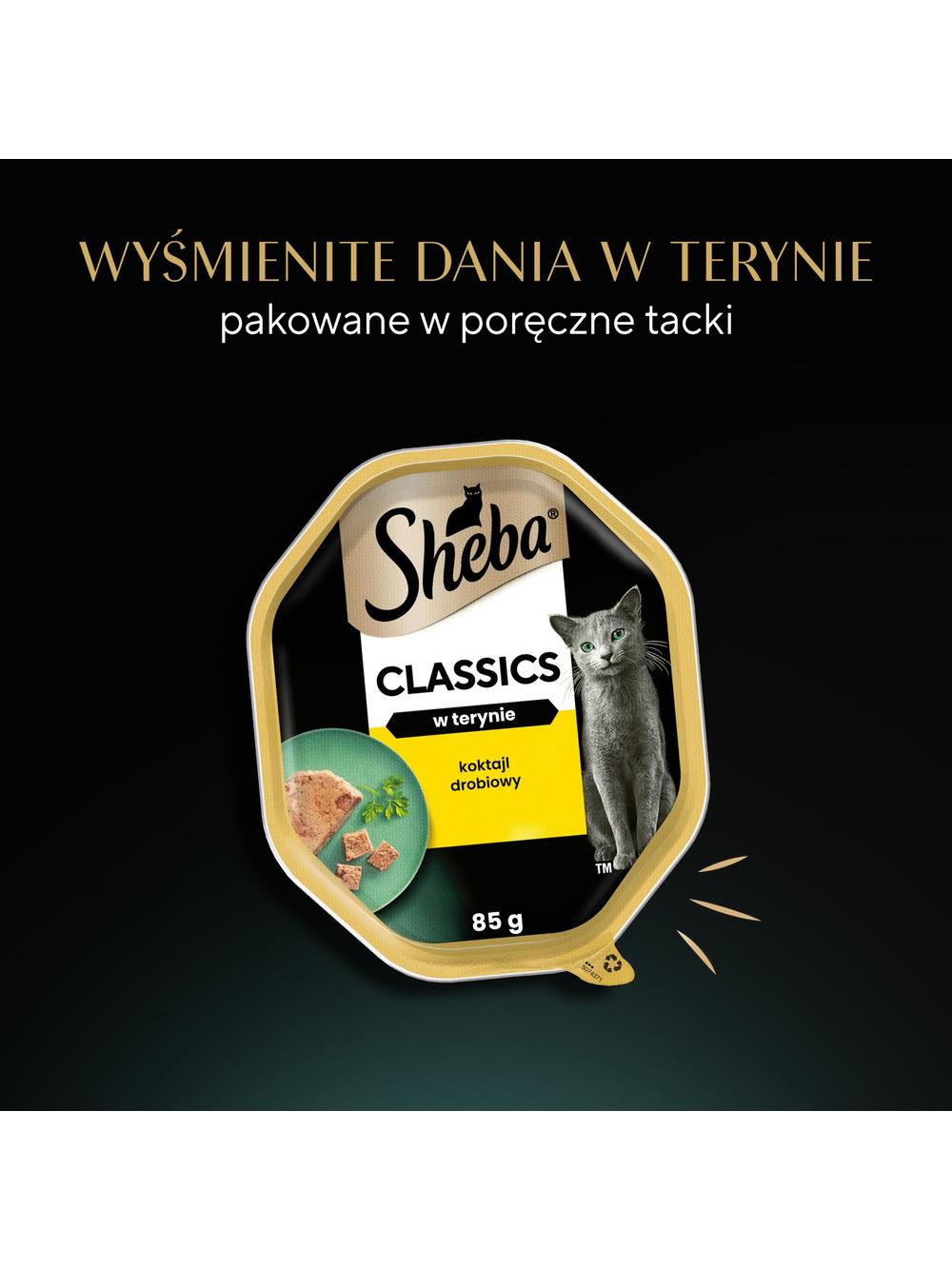 SHEBA Classics tacka 22x85 g – mokra karma pełnoporcjowa dla dorosłych kotów, koktajl drobiowy, w terynie