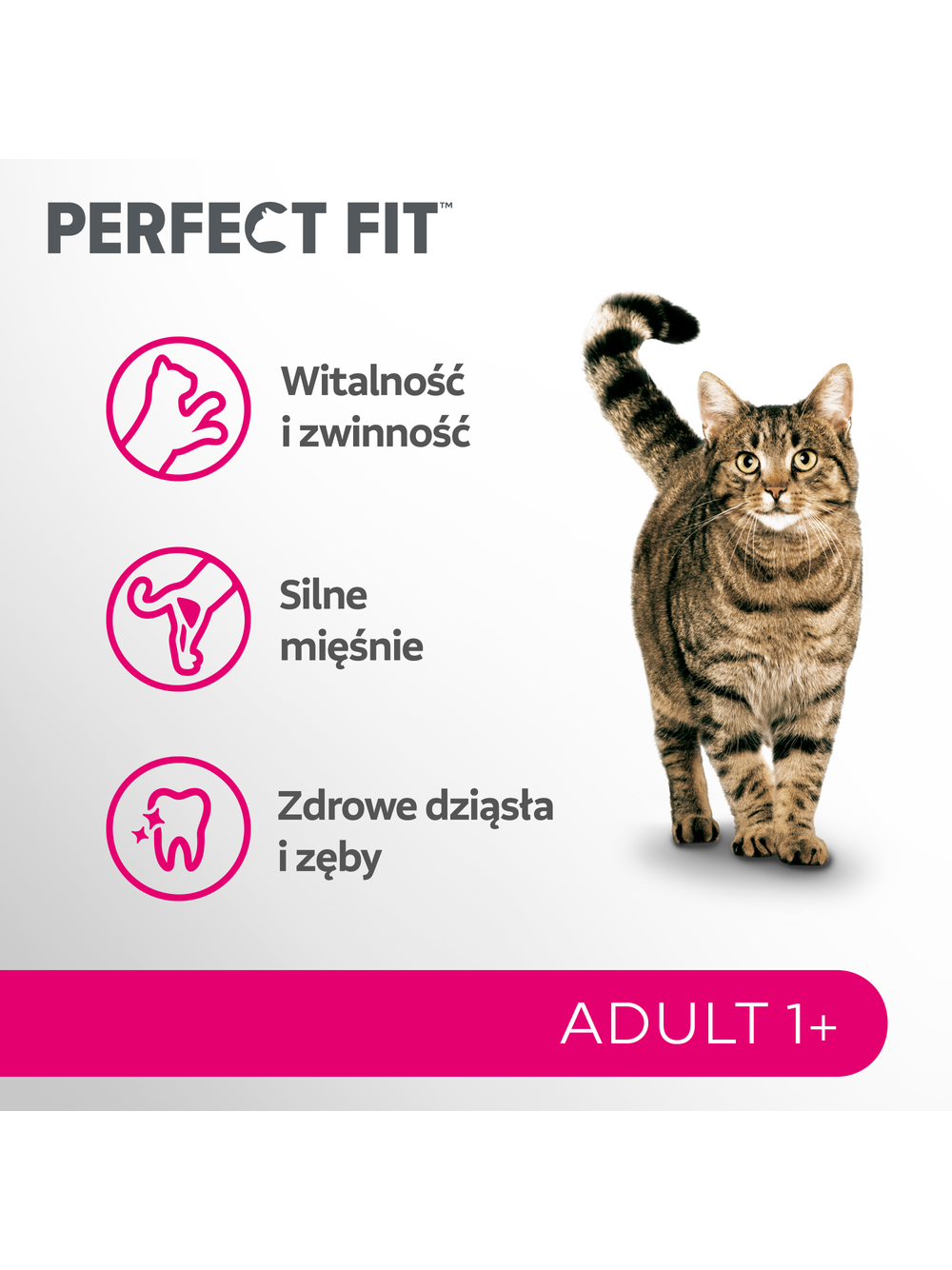 PERFECT FIT (Adult 1+) 4x750g Bogaty w łososia - sucha karma dla kota dorosłego