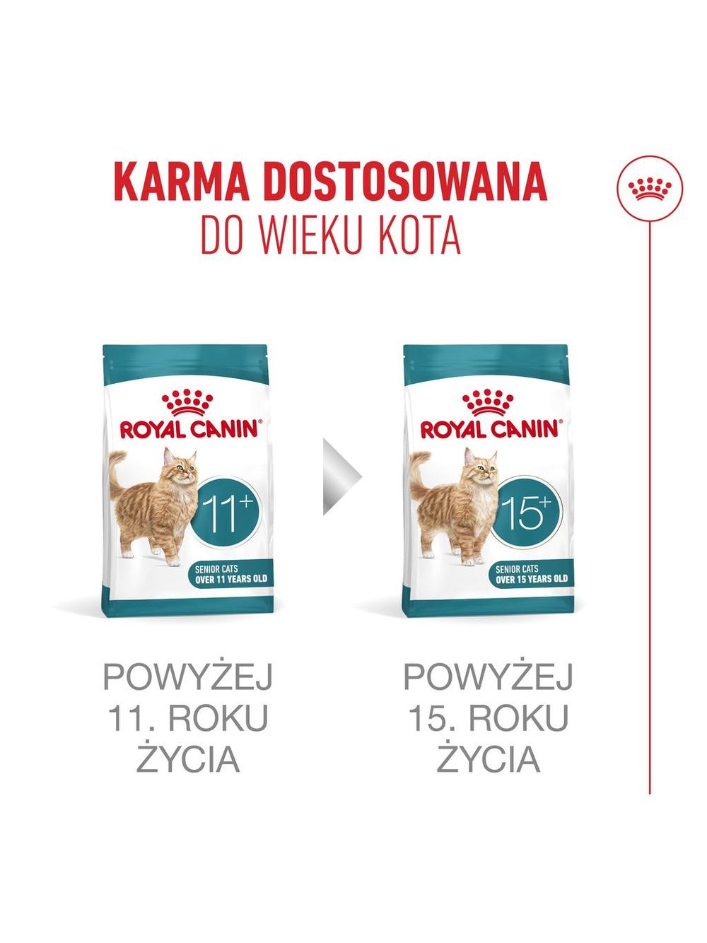 ROYAL CANIN Ageing Sterilised 11+ 4kg karma sucha dla kotów dojrzałych po 11 roku życia, sterylizowanych