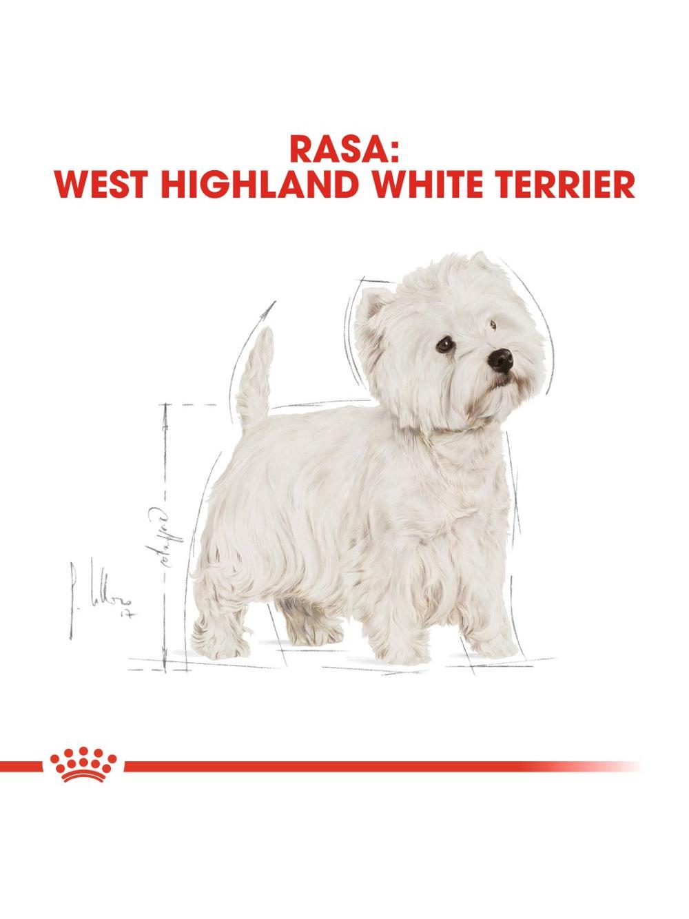 ROYAL CANIN West Highland White Terrier Adult 3kg karma sucha dla psów dorosłych rasy west highland white terrier