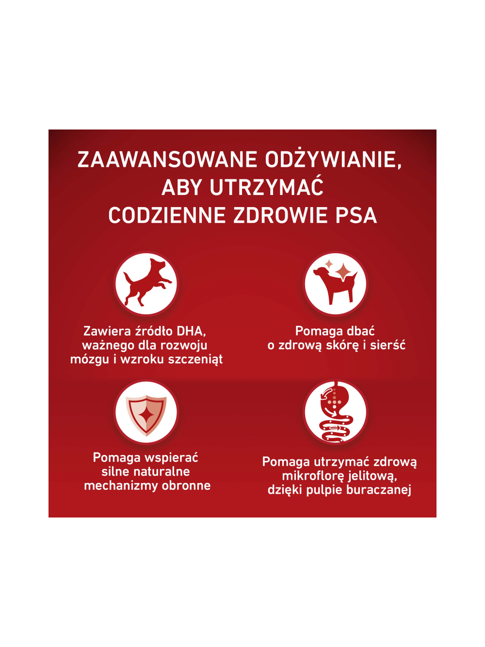 PURINA ONE Junior Medium/Maxi Karma dla szczeniąt bogata w kurczaka z ryżem 4x2,5 kg