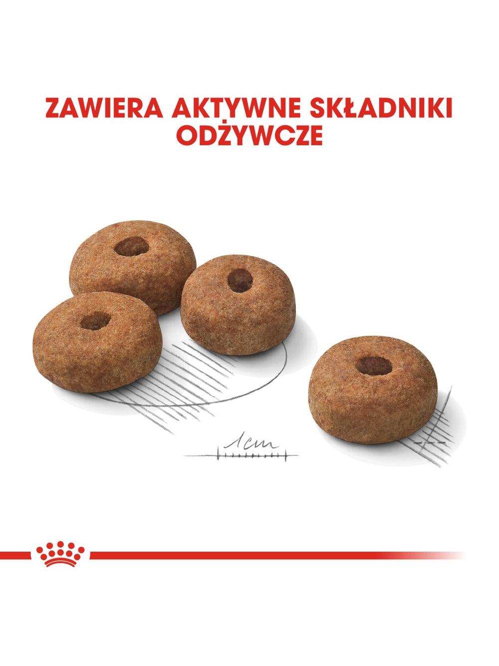 ROYAL CANIN CCN Maxi Sterilised 12kg karma sucha dla psów dorosłych, ras dużych, sterylizowanych