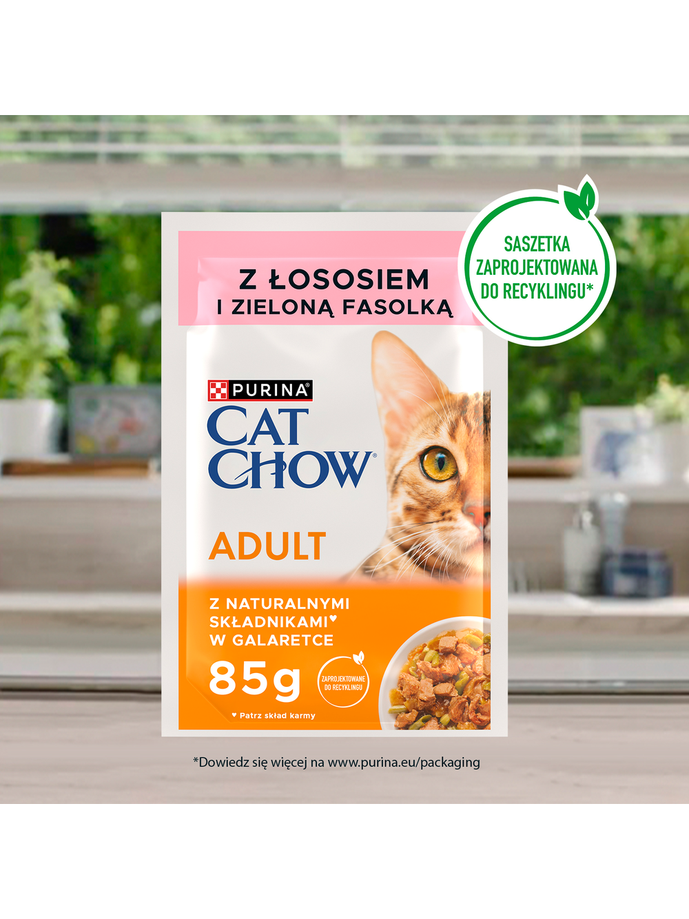 PURINA Cat Chow Adult Karma dla kotów z łososiem i zieloną fasolką w galaretce 10x85g