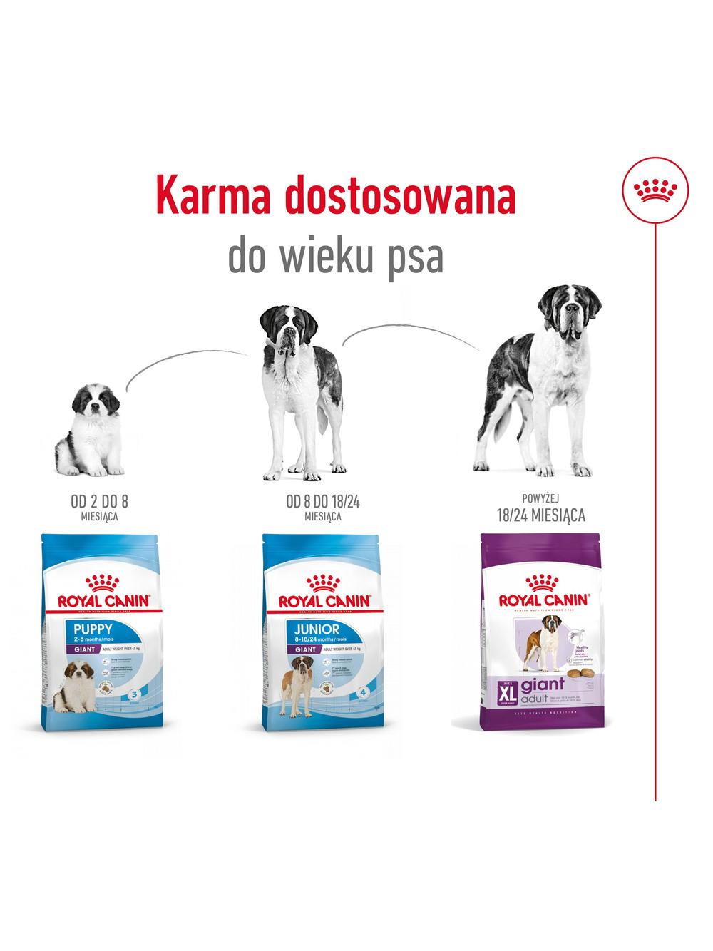 ROYAL CANIN Giant Adult 15kg karma sucha dla psów dorosłych, od 18/24 miesiąca życia, ras olbrzymich