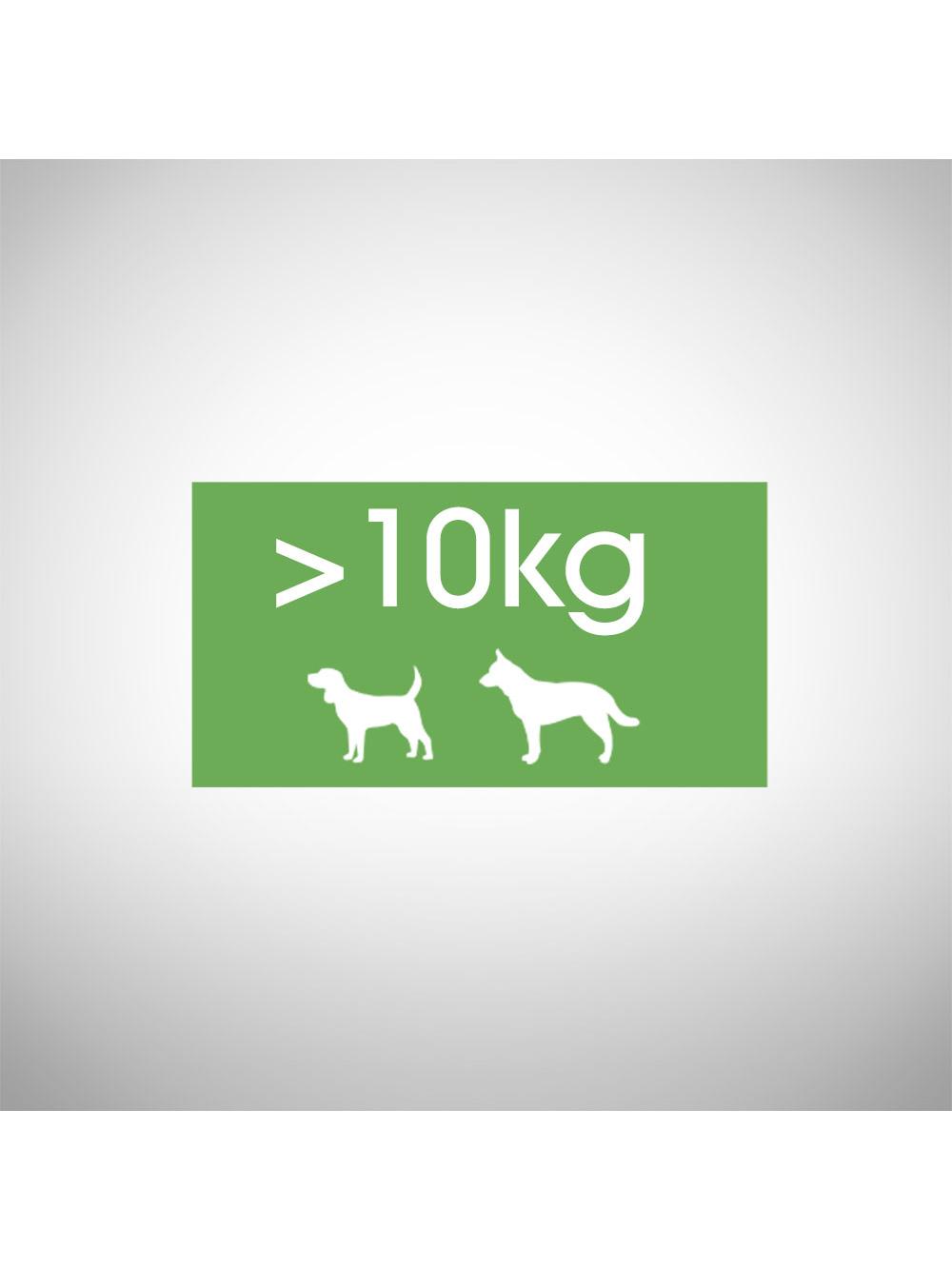 Perfect Fit™ - sucha karma pełnoporcjowa dla dorosłych psów średnich i dużych ras, bogata w kurczaka 11,5kg
