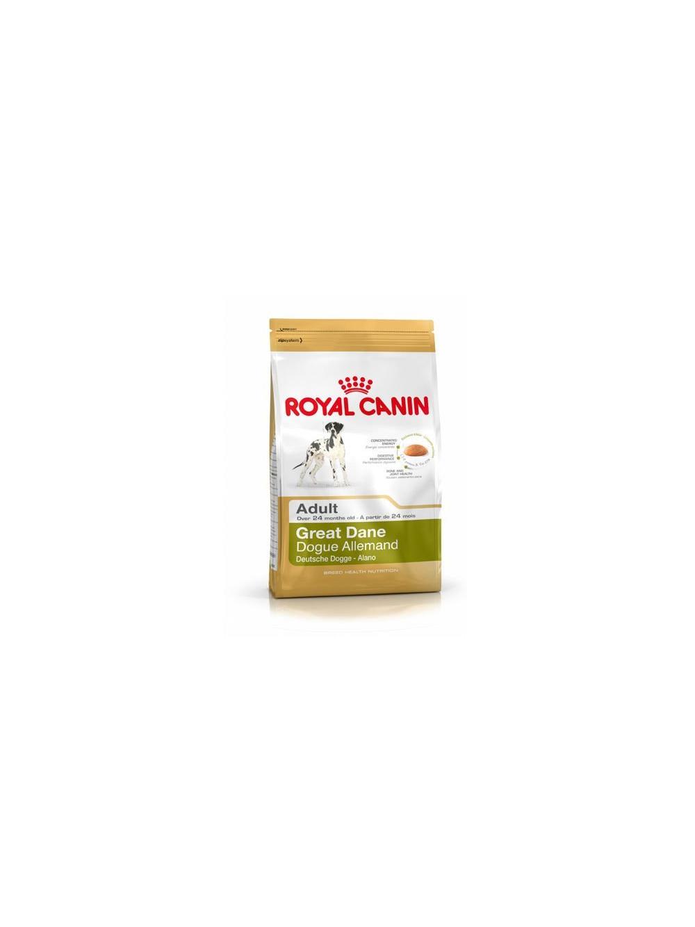 ROYAL CANIN Great Dane Adult 12kg karma sucha dla psów dorosłych rasy dog niemiecki  + niespodzianka dla psa GRATIS!