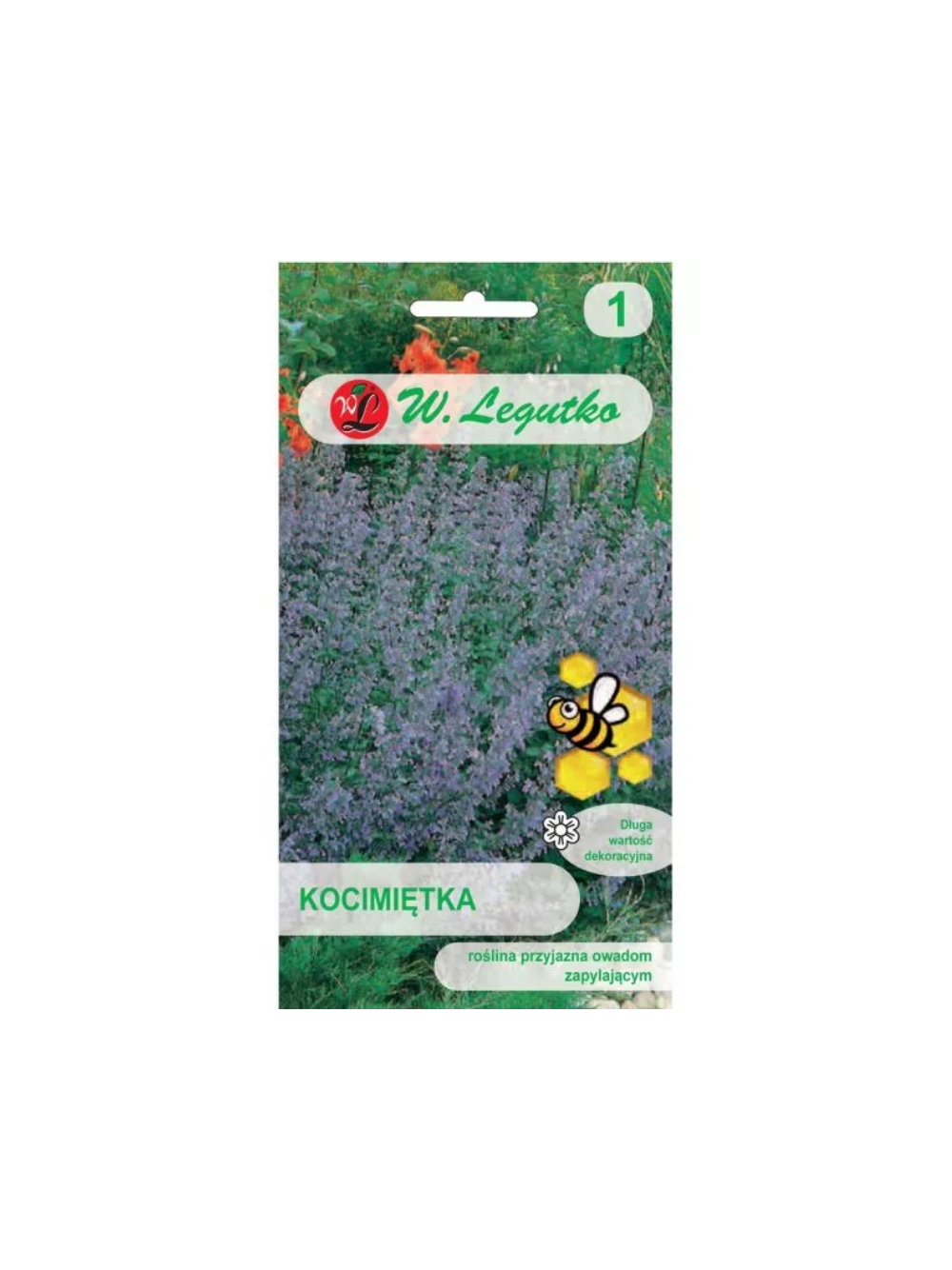 Kocimiętka - niebieskofioletowa