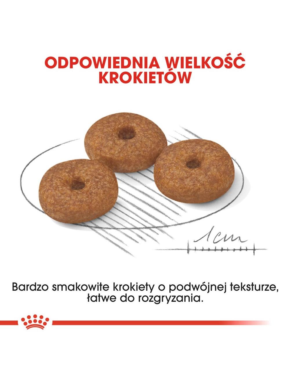 ROYAL CANIN Mini Ageing 12+ 1,5kg karma sucha dla psów dojrzałych po 12 roku życia, ras małych + niespodzianka dla psa GRATIS