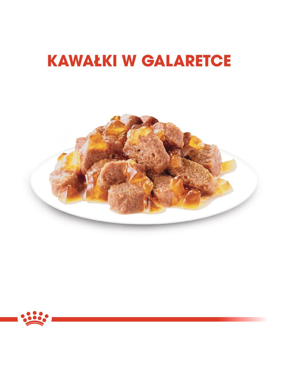 ROYAL CANIN  Instinctive 12x85g w galaretce karma mokra w galaretce dla kotów dorosłych, wybrednych