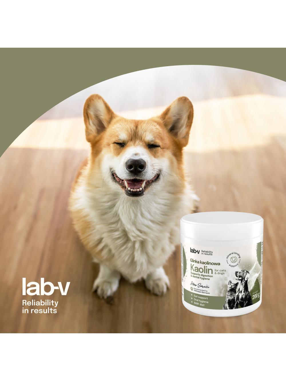Lab-v Kaolin – wsparcie jelit i higieny jamy ustnej dla psów i kotów 200g