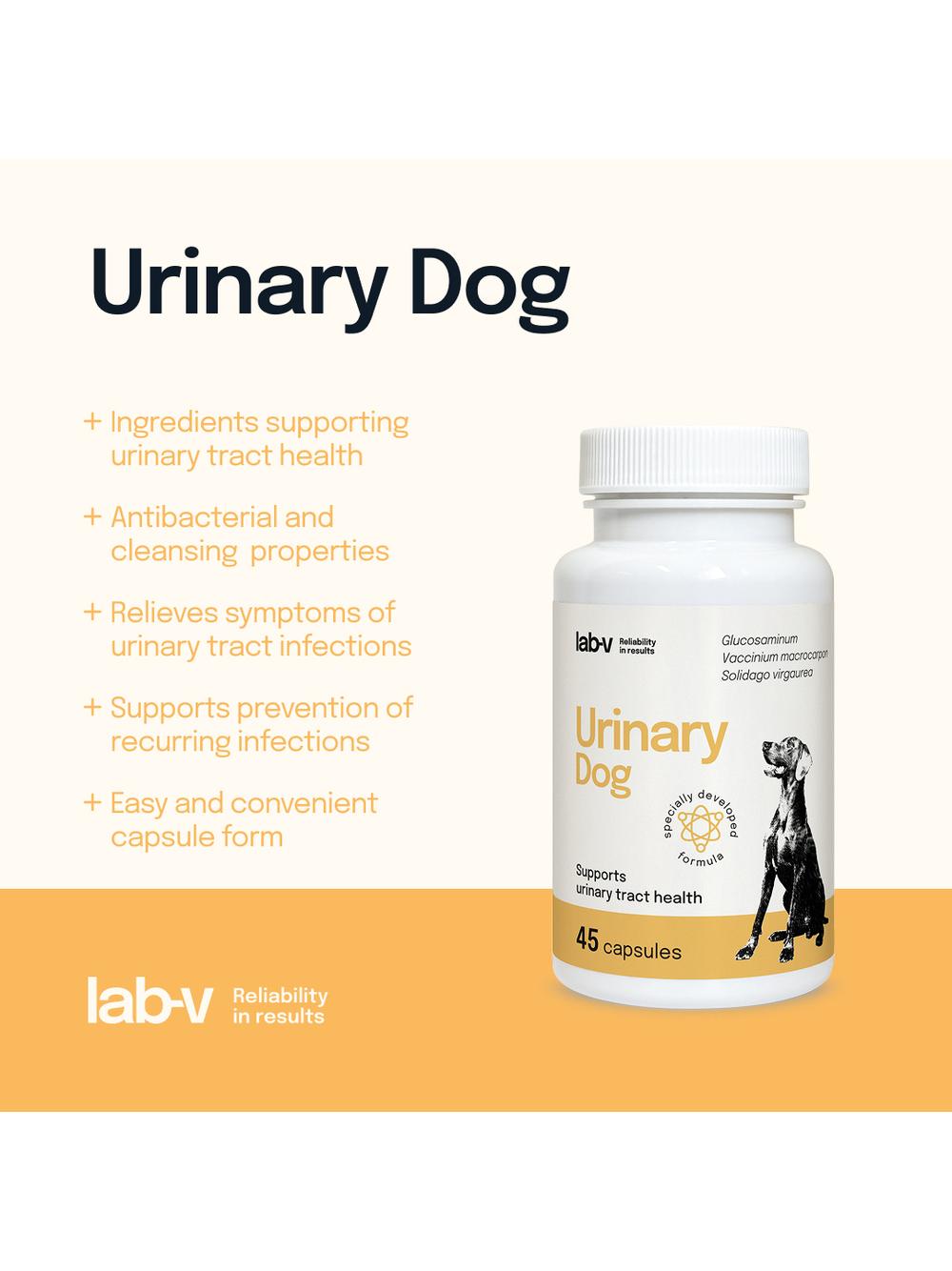 Lab-v Urinary Dog – Wsparcie przy zakażeniu dróg moczowych u psów 45 kapsułek