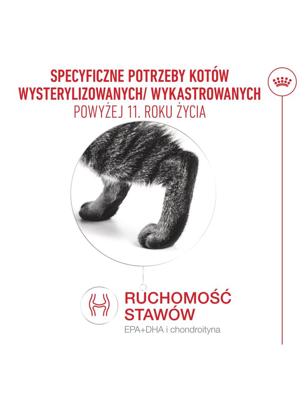 ROYAL CANIN Ageing Sterilised 11+ 4kg karma sucha dla kotów dojrzałych po 11 roku życia, sterylizowanych