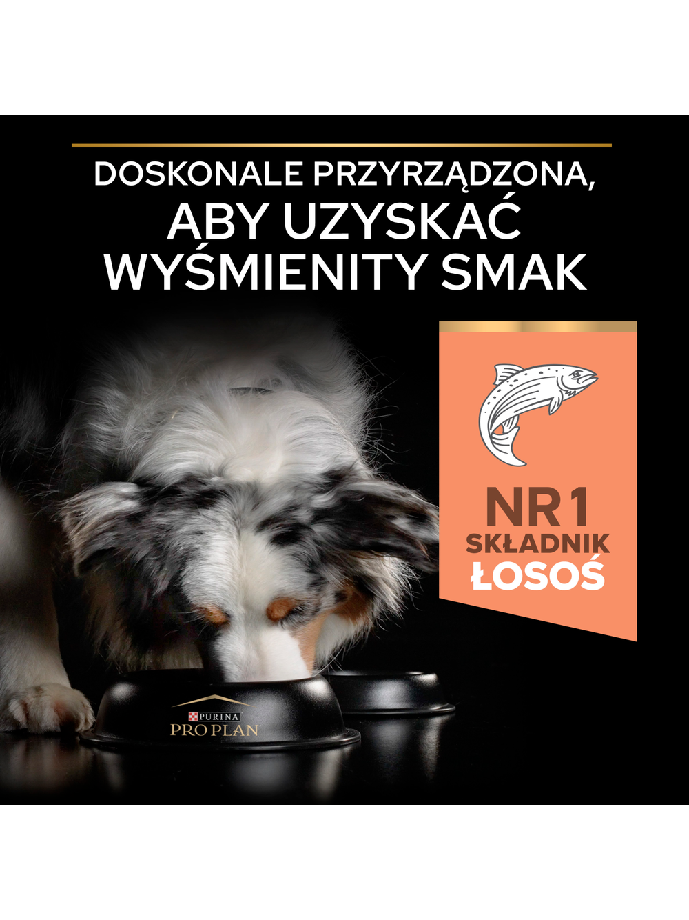 PRO PLAN Sensitive Skin Medium Adult Karma dla psów bogata w łososia 14kg
