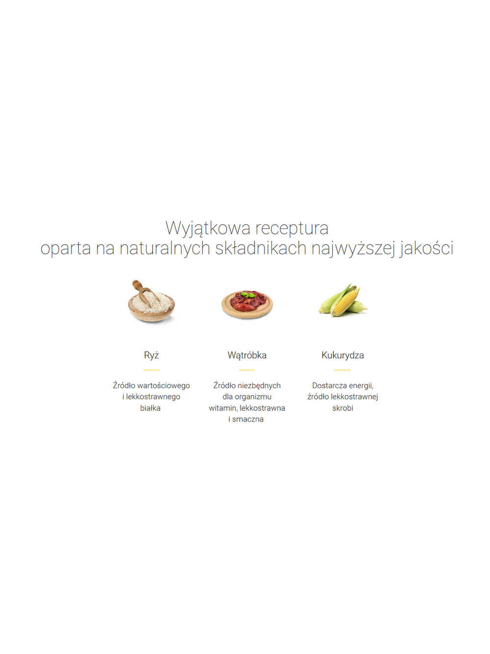 JOSERA Senior 1,8kg \ Opakowanie uszkodzone (9019)!!