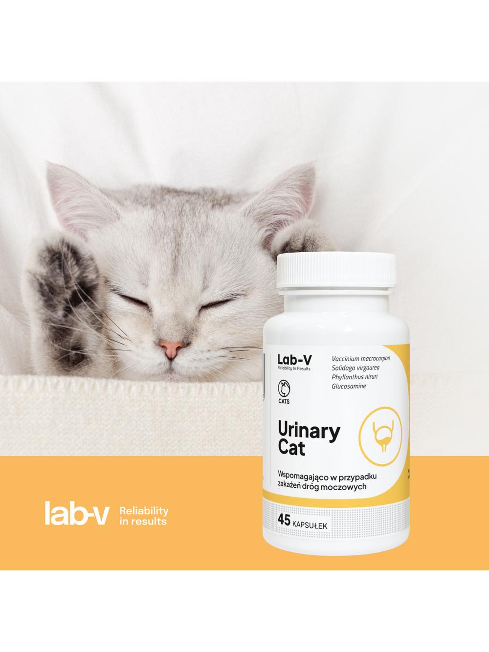 Lab-v Urinary Cat – Wsparcie układu moczowego dla kotów 45 kapsułek