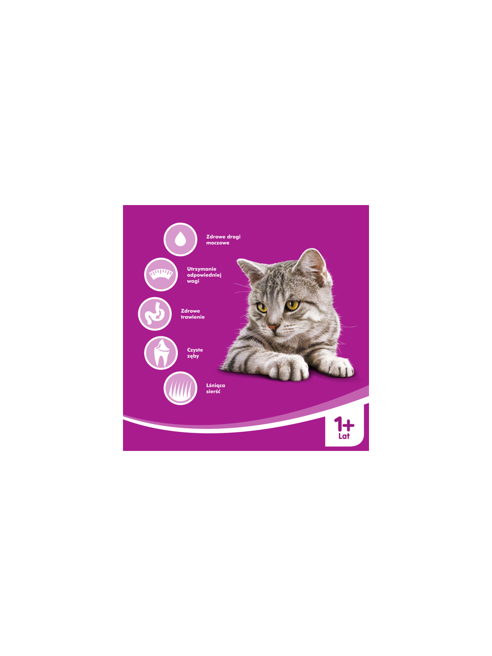 WHISKAS Sterile 14kg - sucha karma dla dorosłego kota po zabiegu kastracji, z pysznym kurczakiem / Opakowanie uszkodzone (9554)