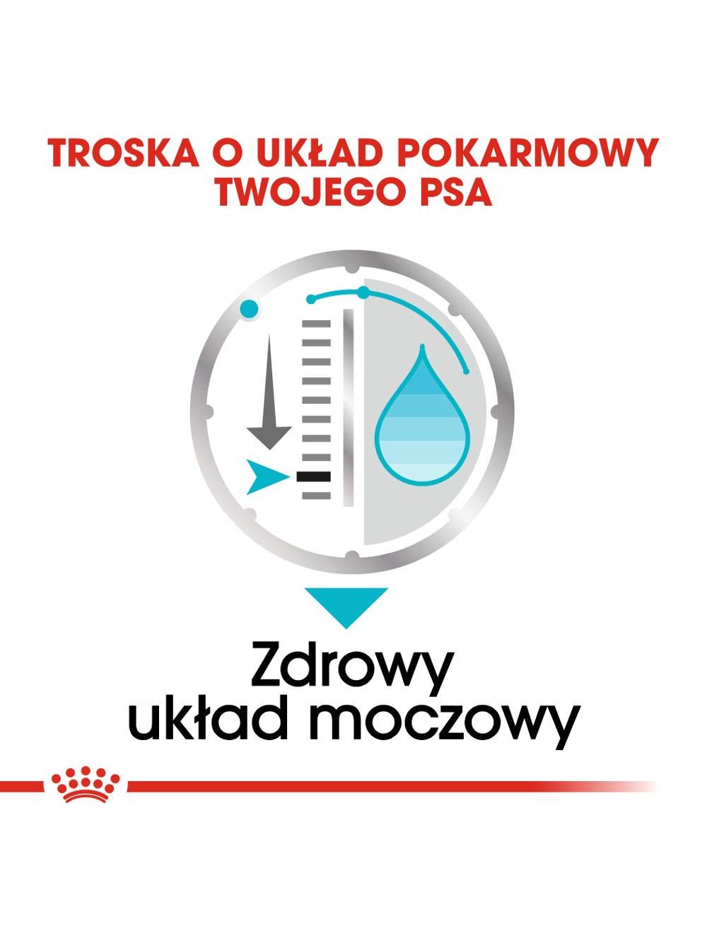 ROYAL CANIN CCN Urinary Care 12x85g karma mokra - pasztet dla psów dorosłych