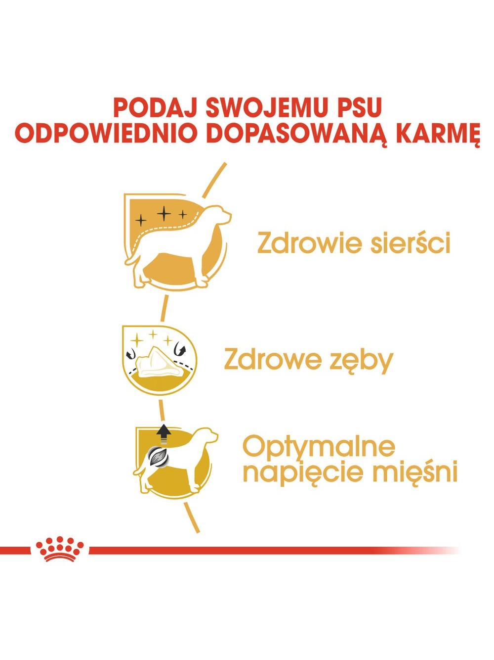 ROYAL CANIN Poodle Adult 1,5kg karma sucha dla psów dorosłych rasy pudel miniaturowy/ opakowanie uszkodzone (7157)!!!!