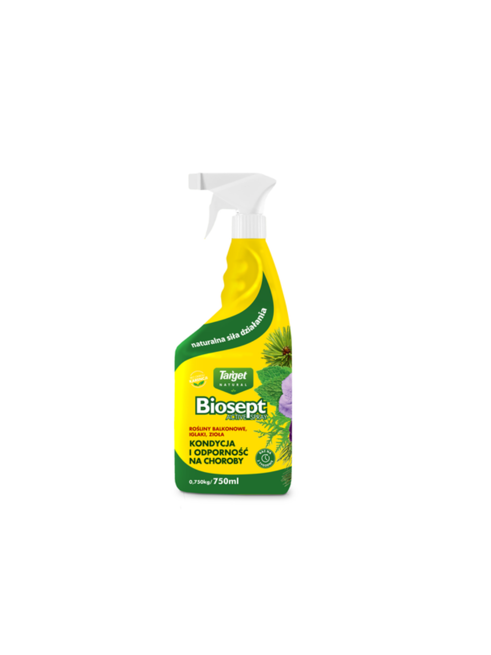 Biosept Active Spray 750 ml