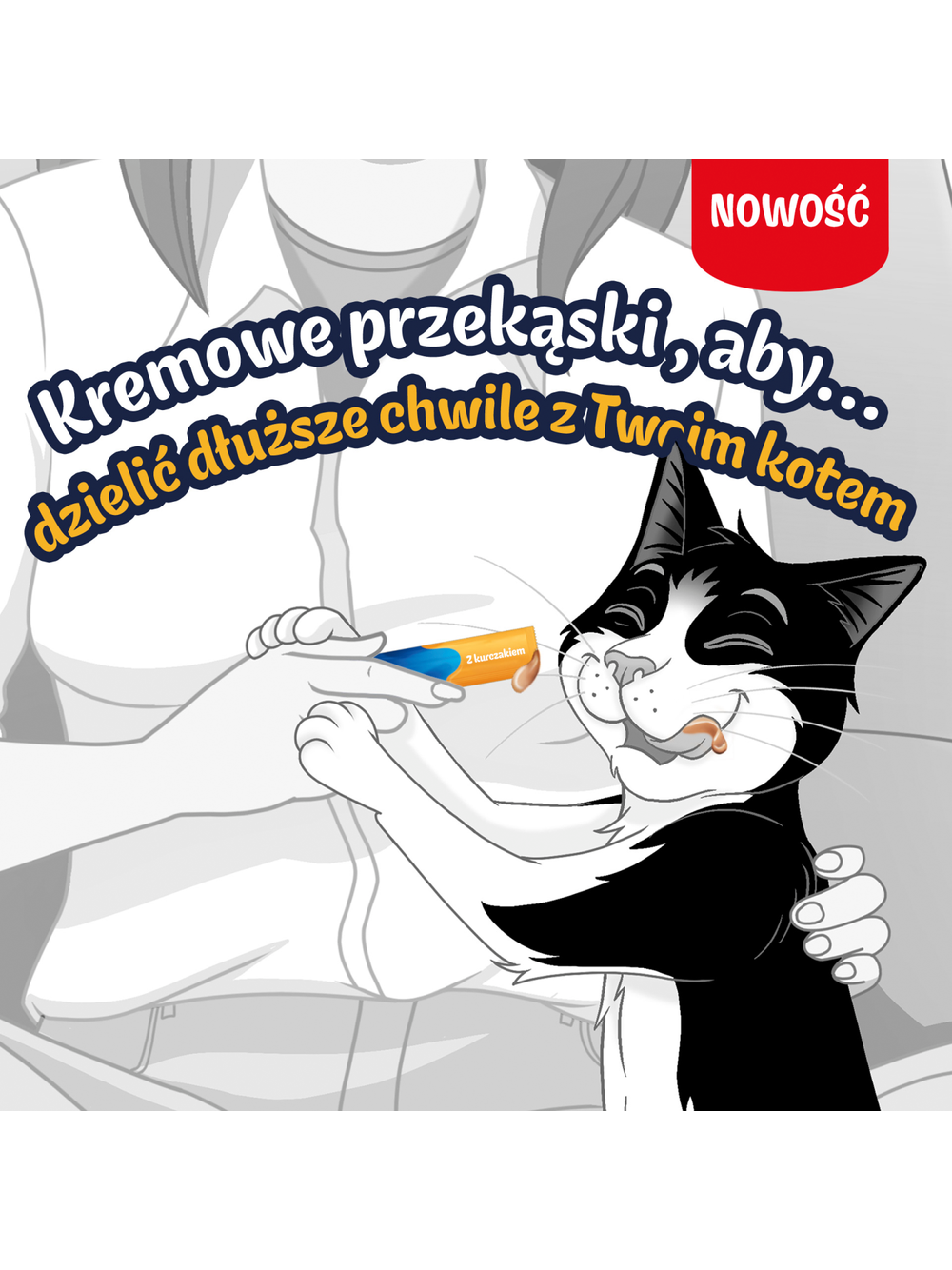 Felix Deli Moments Kremowe przekąski dla kotów z kurczakiem/ z łososiem  2x(4x10g)