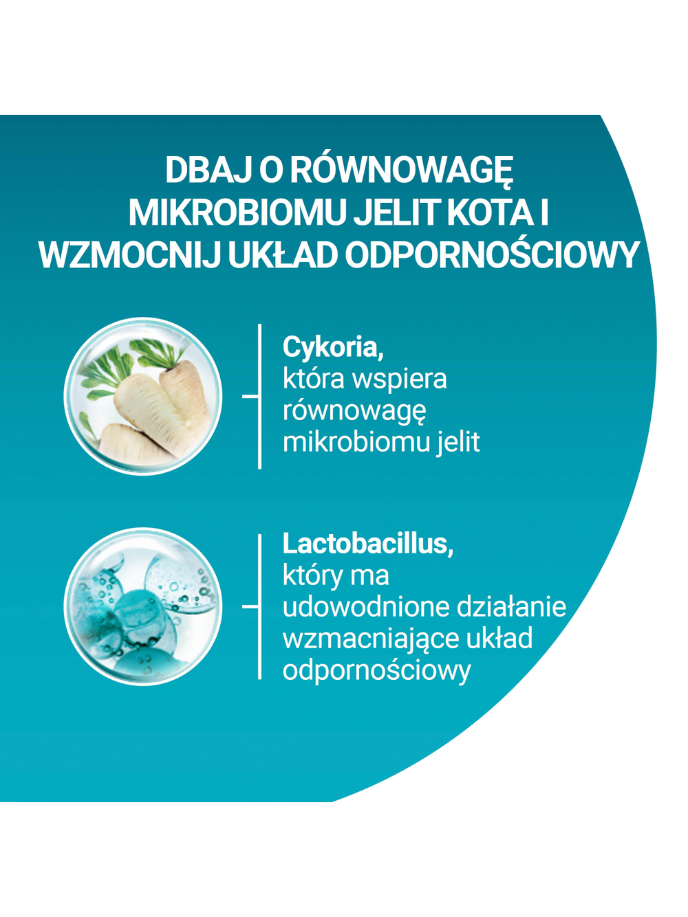 Purina One Cat Adult Karma z wołowiną dla kota 750g