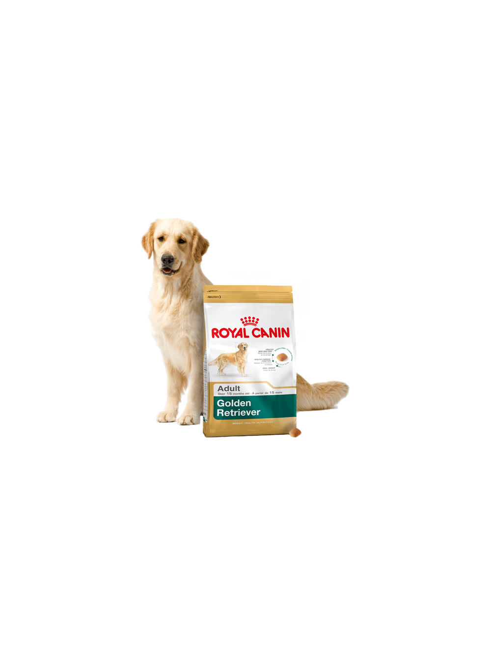 ROYAL CANIN Golden Retriever Adult 12kg karma sucha dla psów dorosłych rasy golden retriever + niespodzianka dla psa GRATIS!