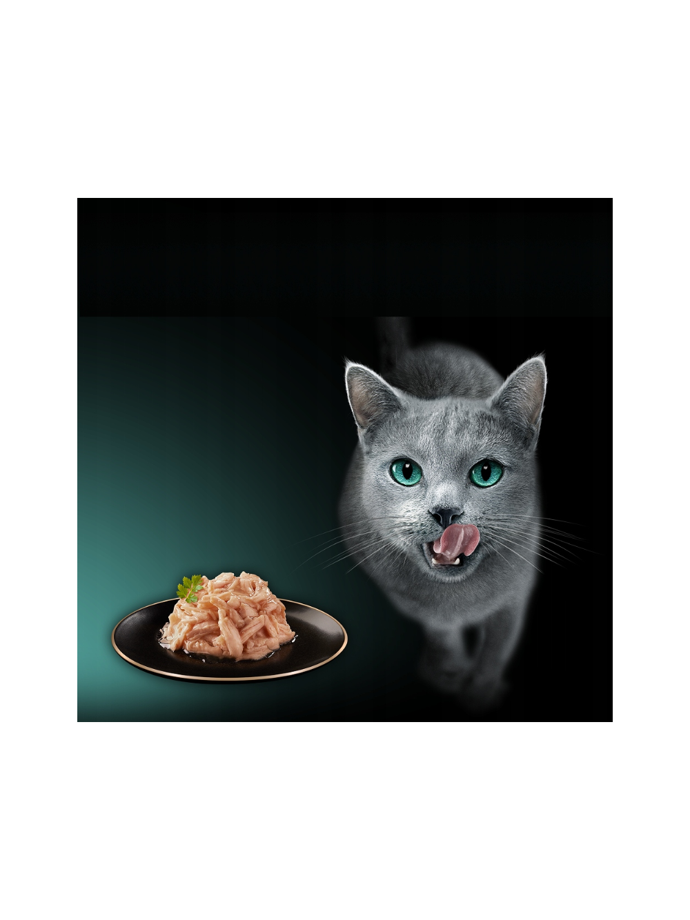 SHEBA Filets mokra karma dla kota z kurczakiem w sosie 60g