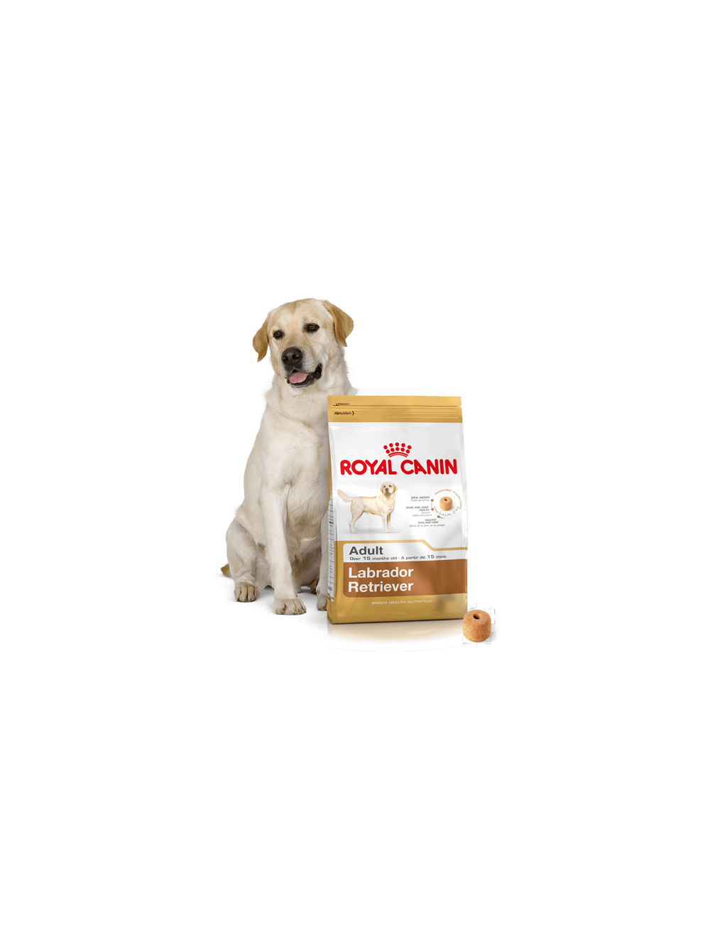 ROYAL CANIN Labrador Retriever Adult 12kg karma sucha dla psów dorosłych rasy labrador retriever + niespodzianka dla psa GRATIS!