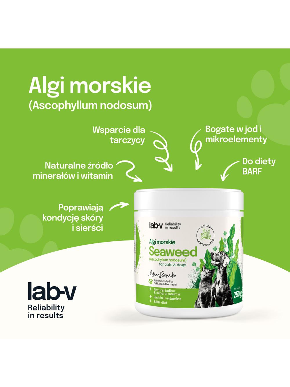 Lab-v Algi Morskie – naturalne źródło jodu i minerałów dla psów i kotów 250g