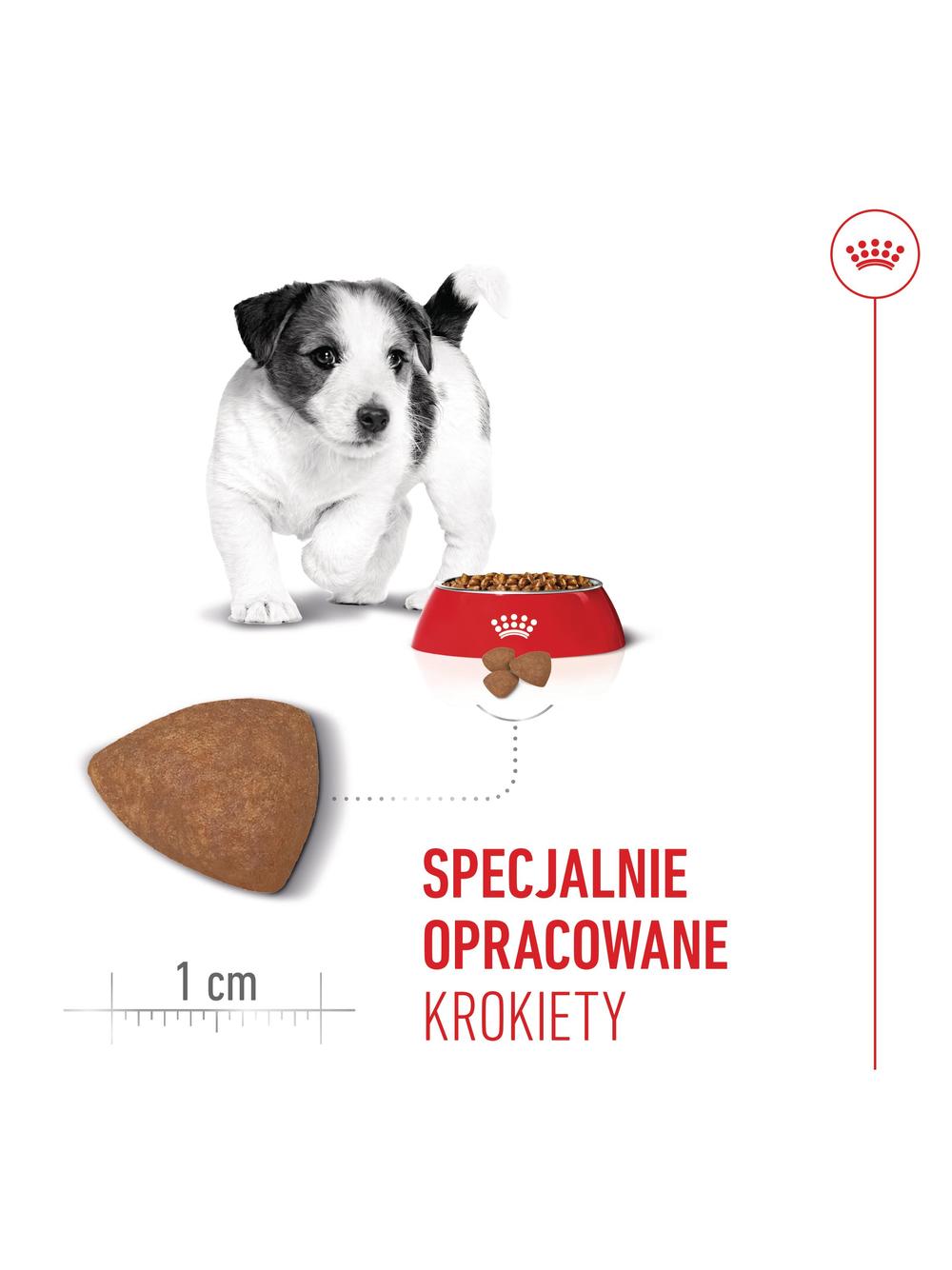ROYAL CANIN Mini Puppy 2kg karma sucha dla szczeniąt, od 2 do 10 miesiąca życia, ras małych/Opakowanie uszkodzone (8970)