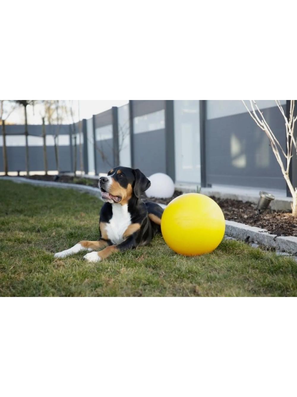 KERBL Piłka do zabawy dla psów odporna na ugryzienia Agility XXL 30cm