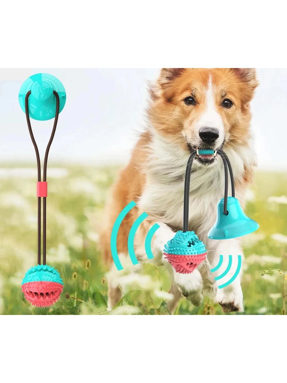 NUXIE® Zabawka piłka szarpak z przyssawką 43cm