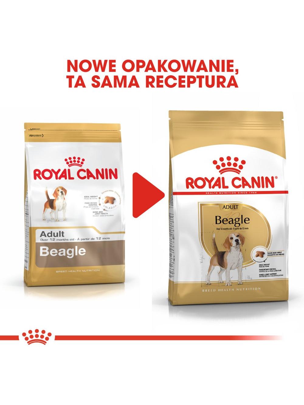 ROYAL CANIN Beagle Adult 12kg karma sucha dla psów dorosłych rasy beagle