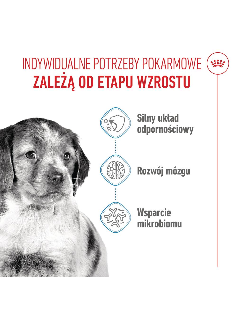 ROYAL CANIN Medium Puppy 15kg karma sucha dla szczeniąt, od 2 do 12 miesiąca, ras średnich