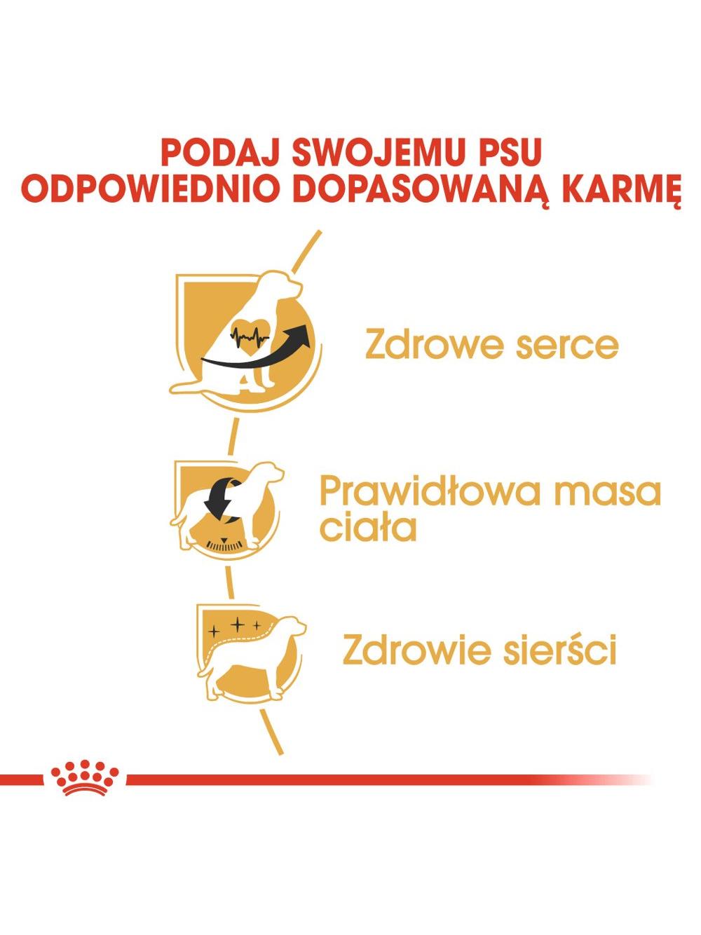 ROYAL CANIN Cavalier King Charles Spaniel Adult 1,5kg karma sucha dla psów dorosłych rasy cavalier king charles spaniel