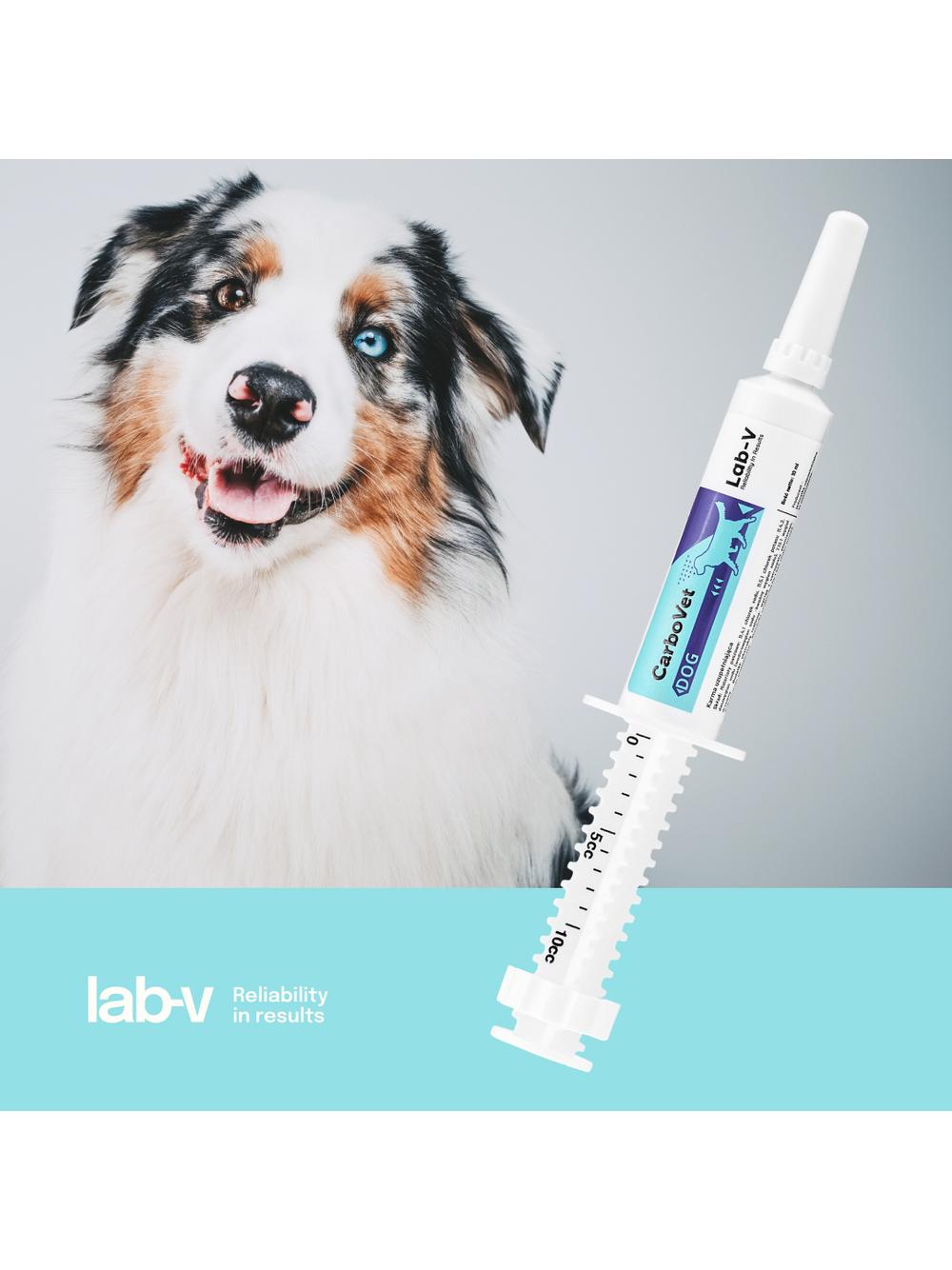Lab-v CarboVet Dog - Preparat do eliminacji toksyn dla psów 10 ml