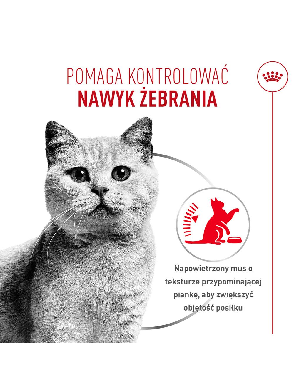 ROYAL CANIN  Appt Airlift, can 85g