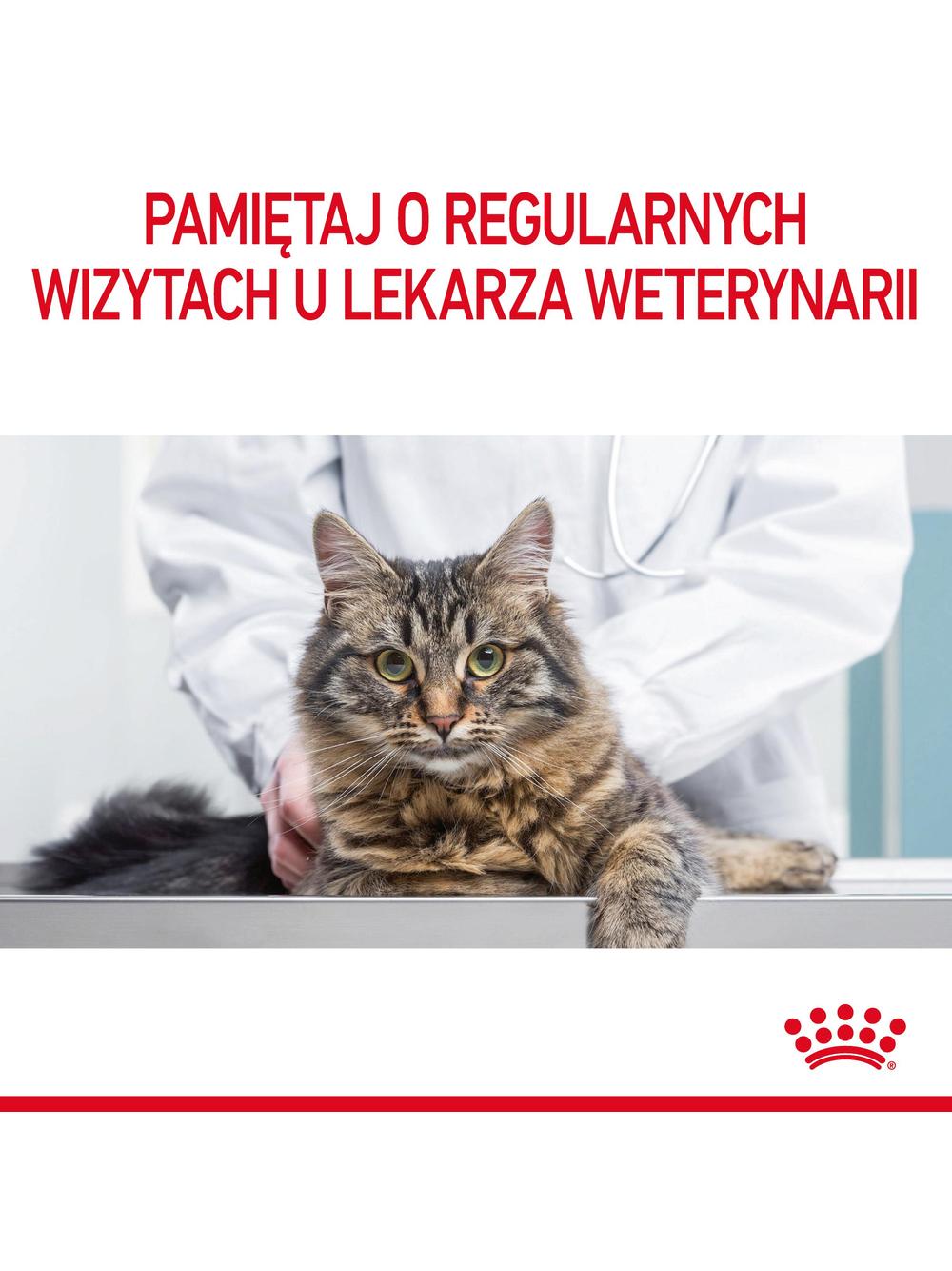 ROYAL CANIN Hairball Care 10kg karma sucha dla kotów dorosłych, eliminacja kul włosowych + niespodzianka dla kota GRATIS!