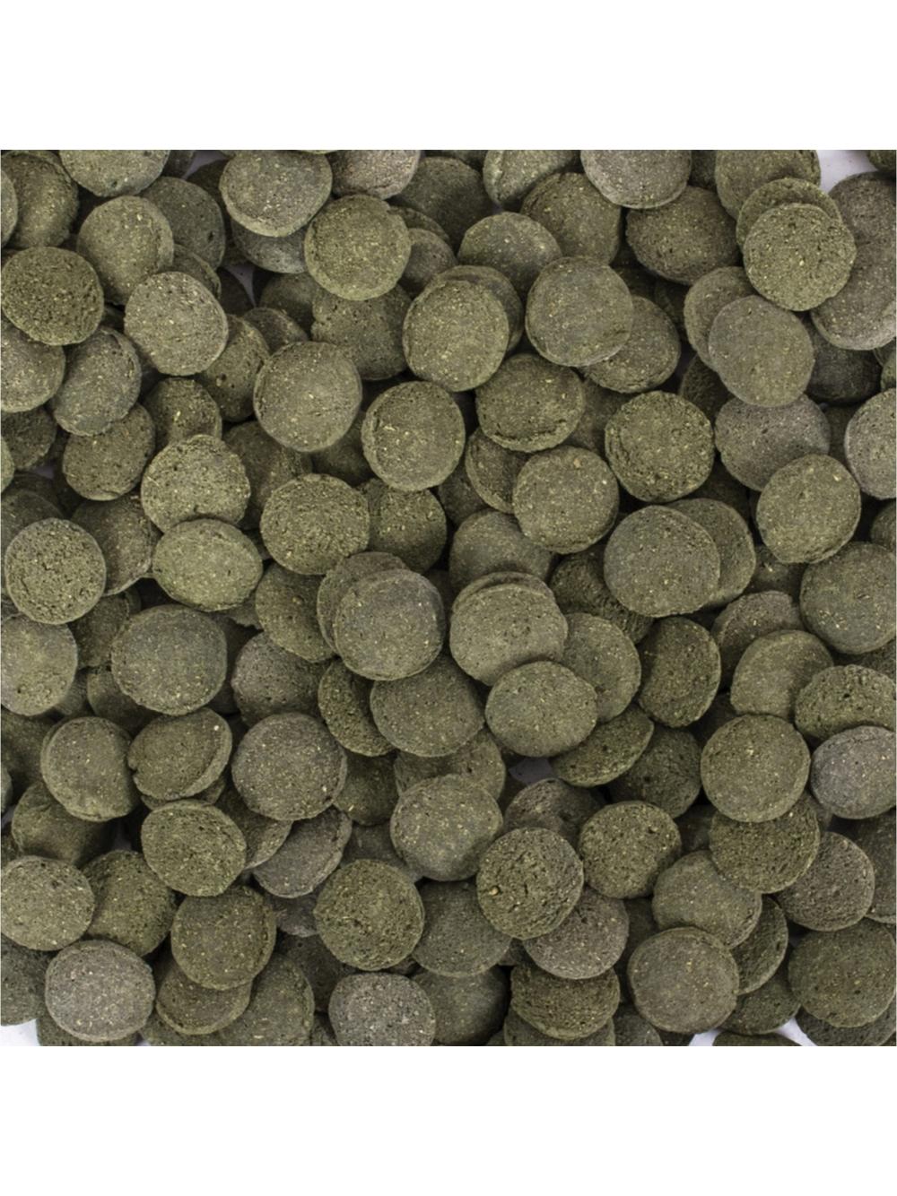 TROPICAL HI-ALGAE DISCS 100ML/60G