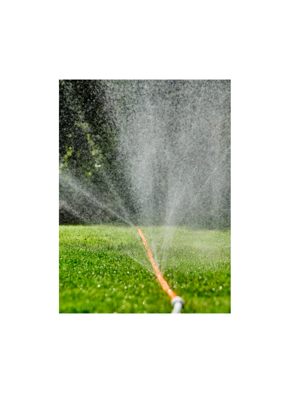 Wąż ogrodowy zraszający AQUA SPRAY 1/2" 15mb