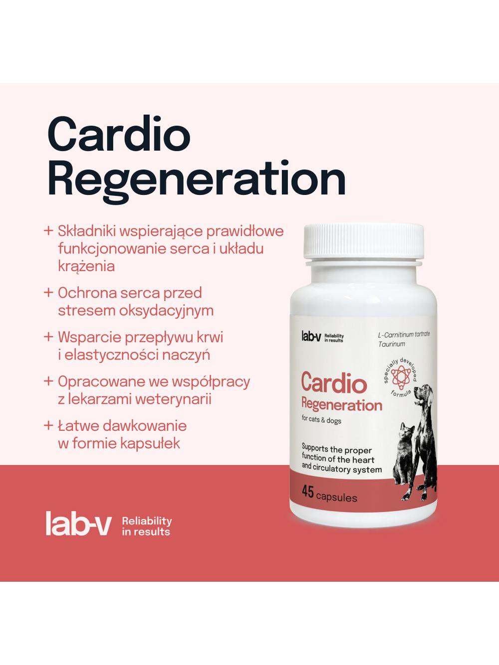 Lab-v Cardio Regeneration – Wsparcie prawidłowego funkcjonowania pracy serca i układu krążenia dla psów i kotów 45 kapsułek