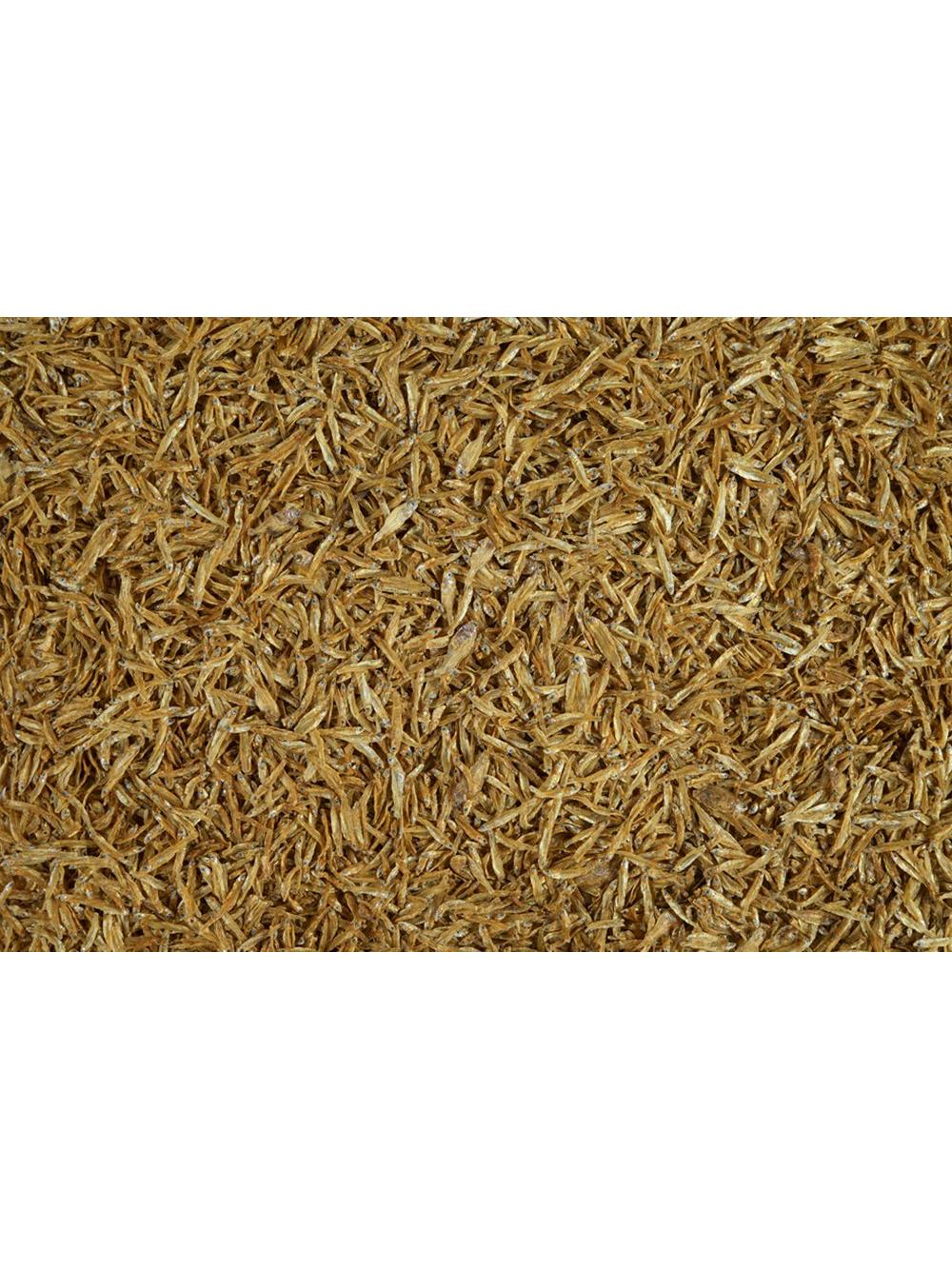 TETRA  Anchovies opak. 1l