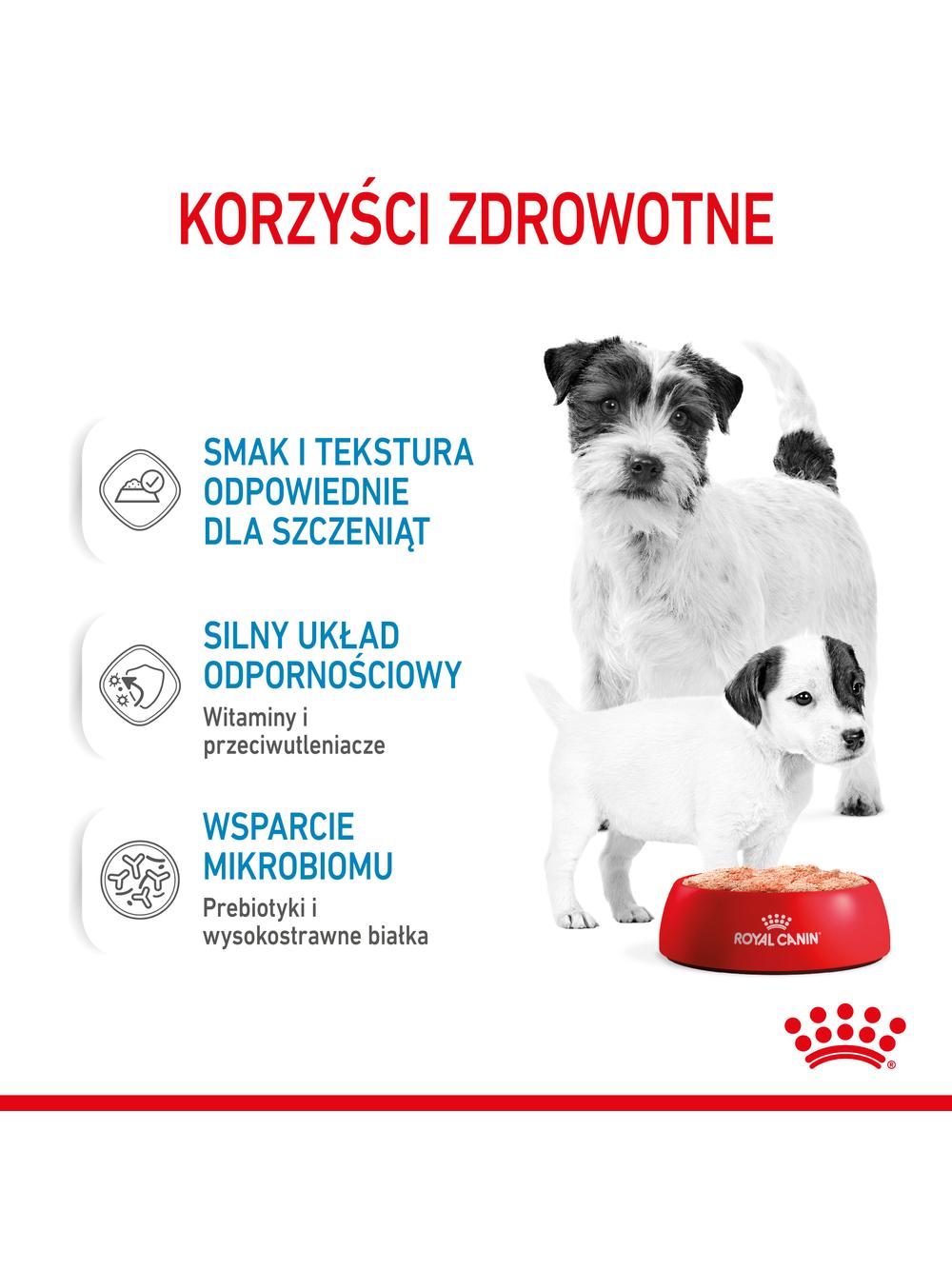 ROYAL CANIN Starter Mousse Mother & Babydog 12x195g karma mokra - mus, dla suk w czasie ciąży, laktacji oraz szczeniąt