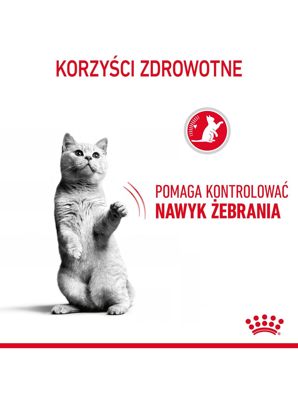ROYAL CANIN Appetite Control 400g karma sucha dla kotów dorosłych, sterylizowanych, domagających się jedzenia
