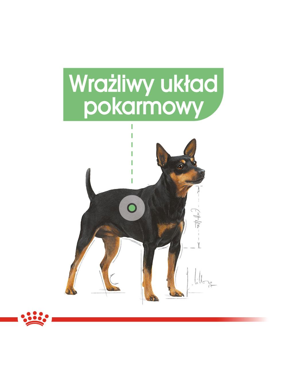 ROYAL CANIN CCN Mini Digestive Care 8kg karma sucha dla psów dorosłych, ras  małych o wrażliwym przewodzie pokarmowym
