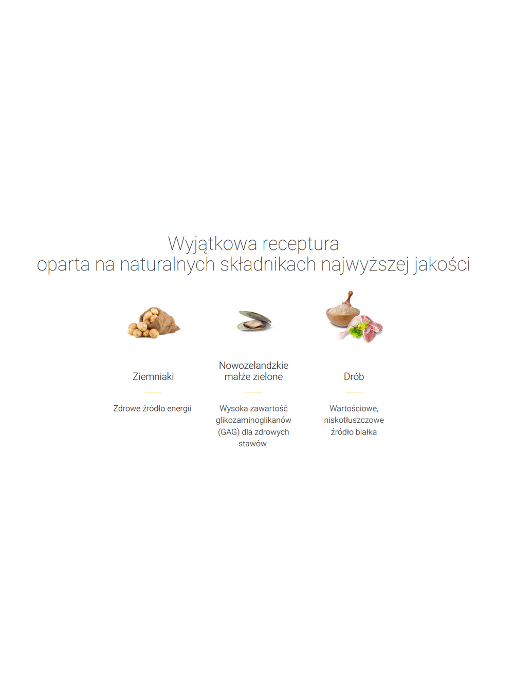JOSERA YoungStar - Grain Free 12,5kg / Opakowanie uszkodzone (5272,5356,7395,7509) !!!