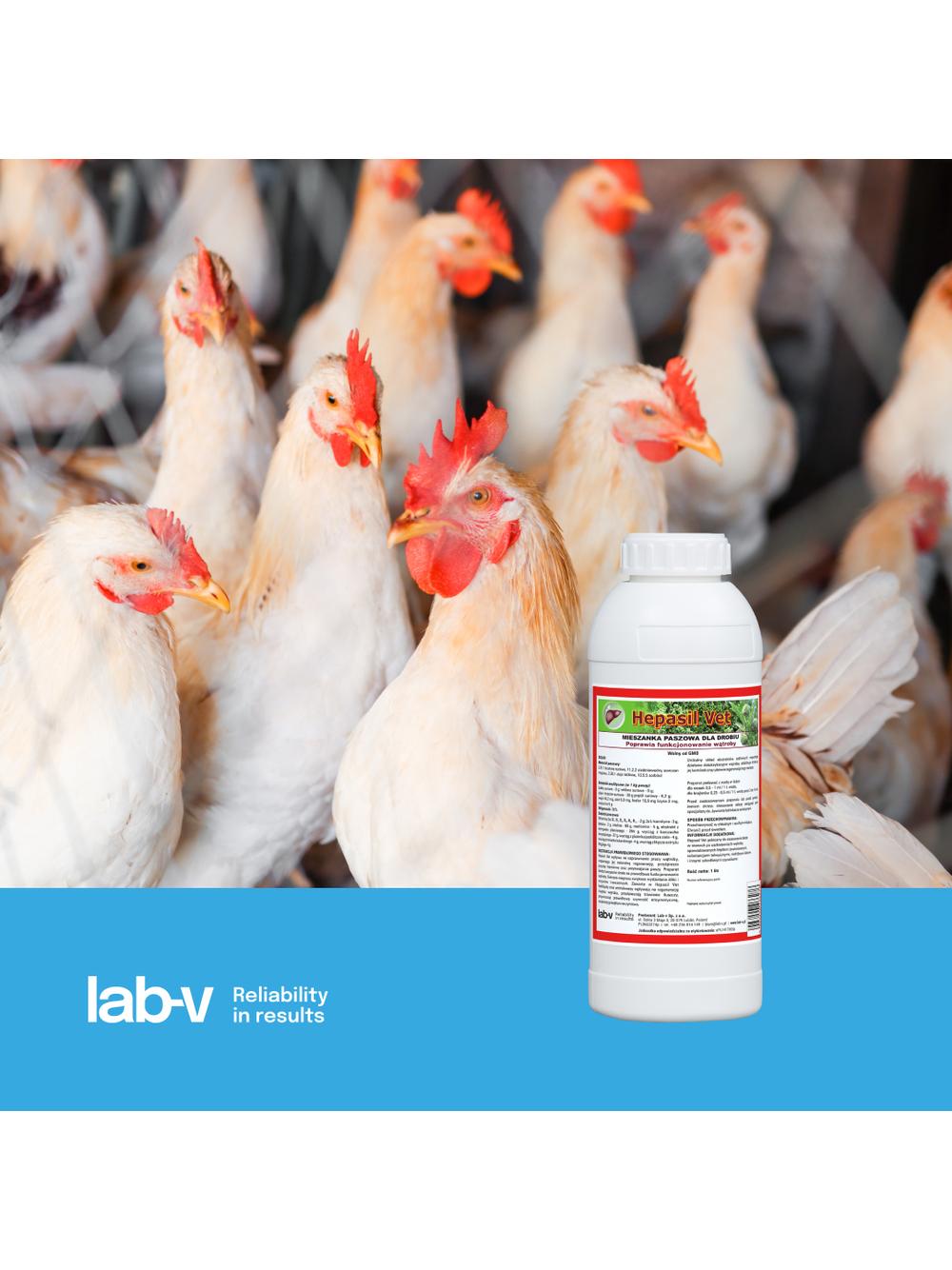 Lab-v Hepasil Vet Dla Drobiu - Mieszanka Paszowa Dla Drobiu Na Poprawę Funkcjonowania Wątroby 1kg