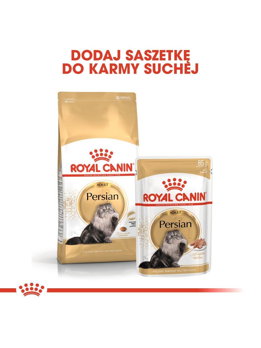 ROYAL CANIN Persian Adult 10kg karma sucha dla kotów dorosłych rasy perskiej + niespodzianka dla kota GRATIS!